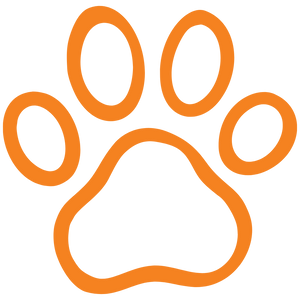 Productos Seleccionados