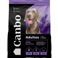 Adultos Razas Medianas y Grandes