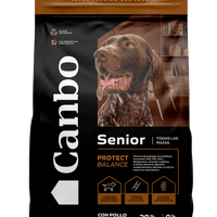 Senior +7 años
